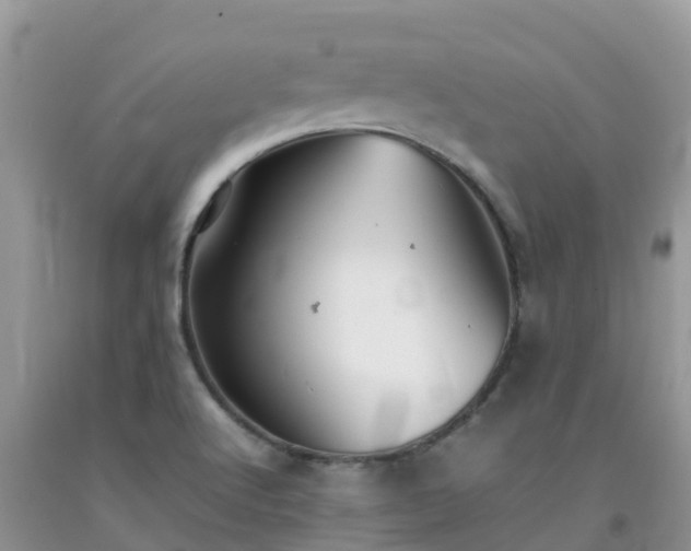 X0000092061512200709191131