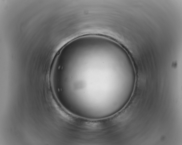 X0000092061513200709191131