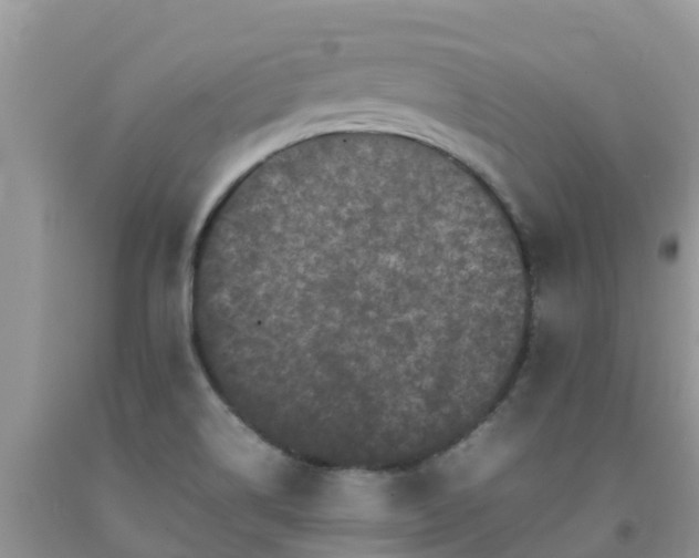 X0000092061514200709191131