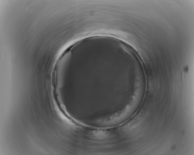 X0000092061515200709191131