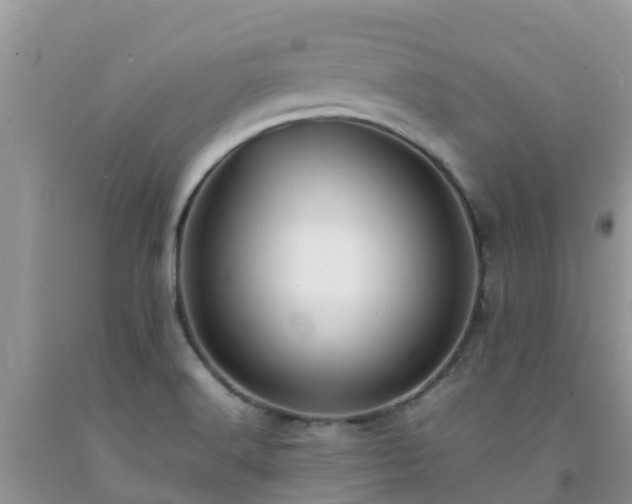 X0000092061516200709191131