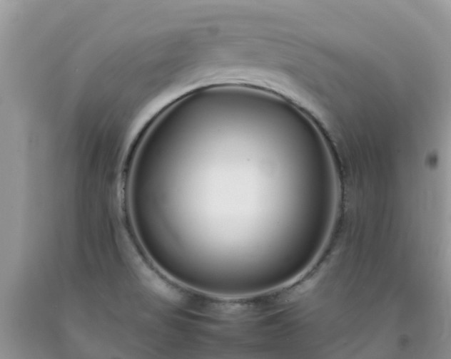 X0000092061517200709191131