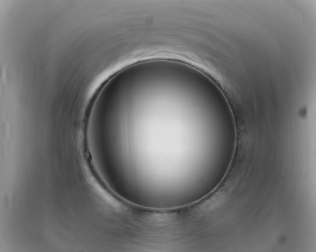 X0000092061518200709191131