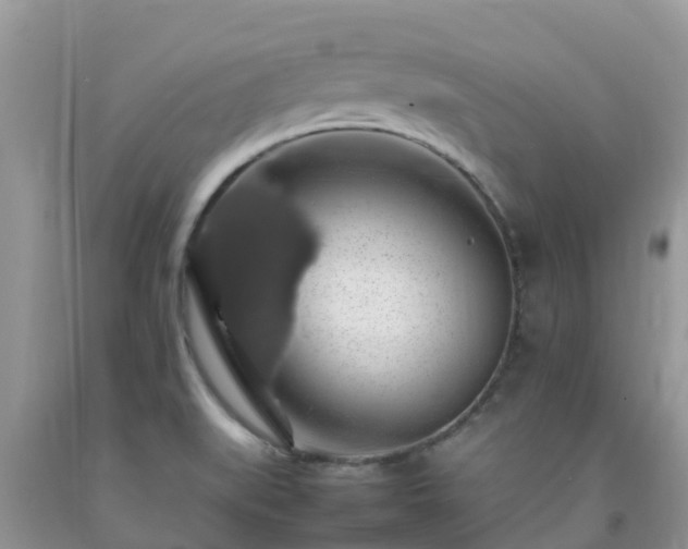 X0000092061519200709191131