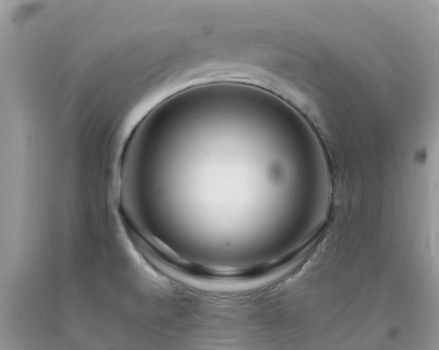 X0000092061520200709191131