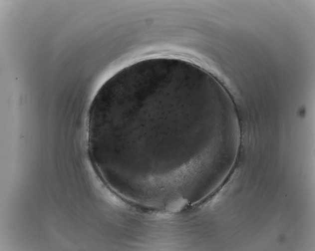 X0000092061522200709191131