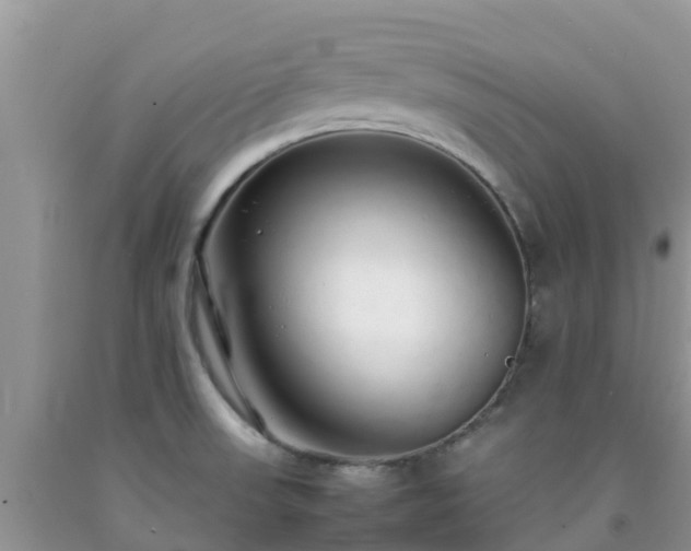 X0000092061523200709191131