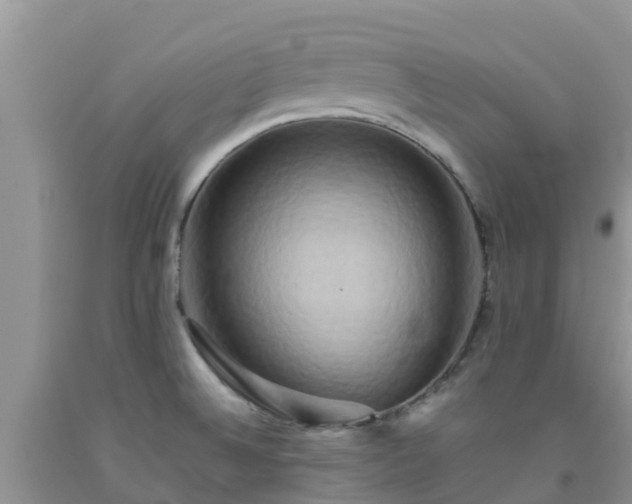 X0000092061524200709191131