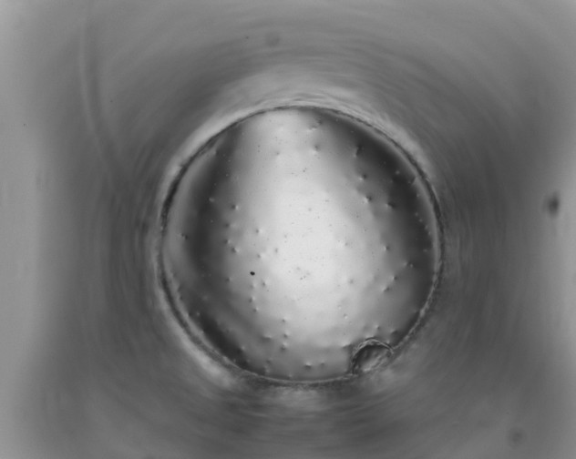 X0000092061525200709191131