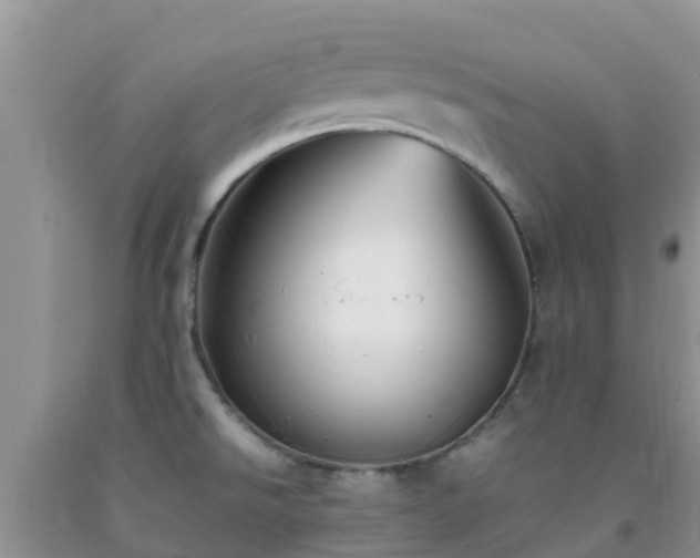 X0000092061526200709191131