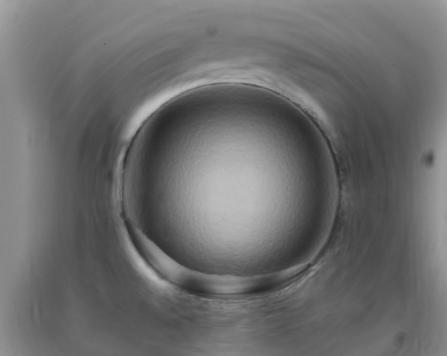 X0000092061528200709191131