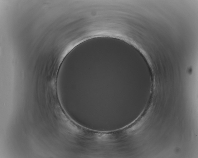 X0000092061529200709191131