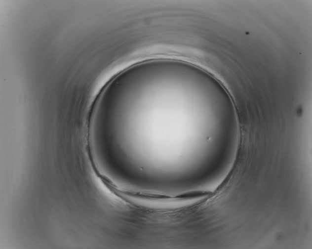 X0000092061531200709191131