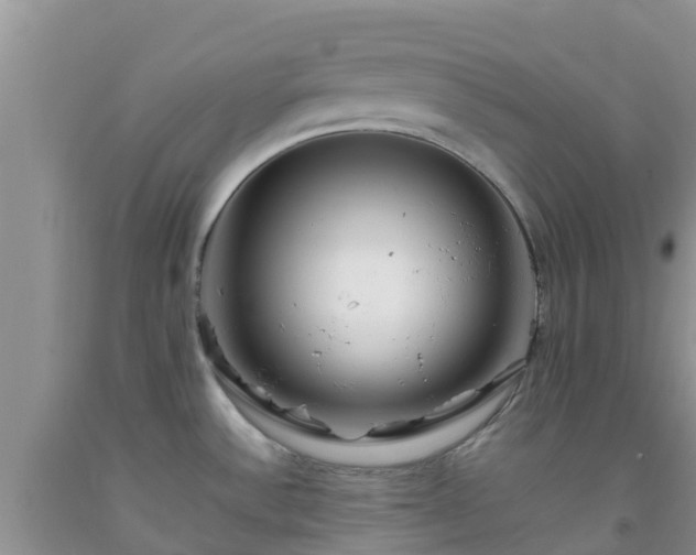 X0000092061532200709191131