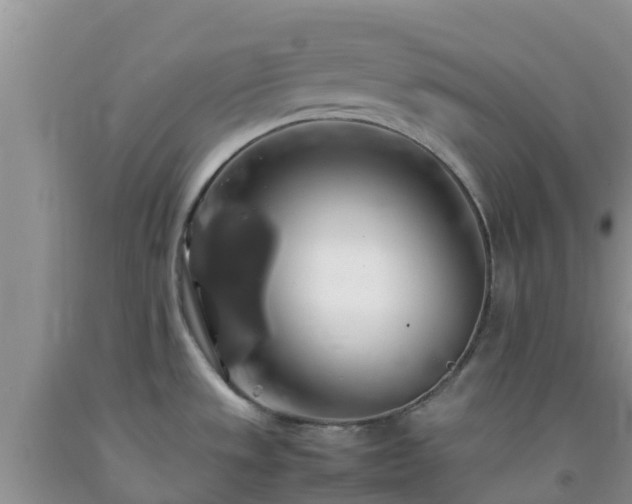 X0000092061533200709191131