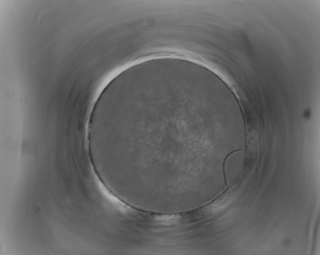 X0000092061535200709191131