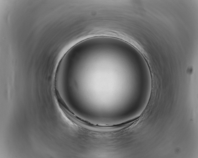 X0000092061536200709191131