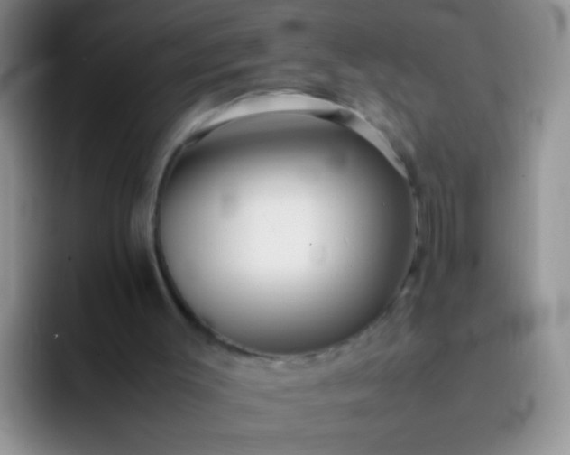 X0000092060003200709262036