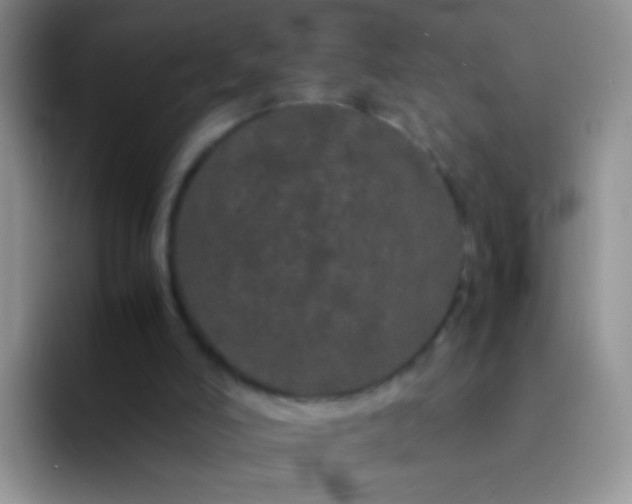 X0000092060006200709262036