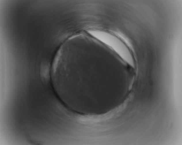 X0000092060009200709262036