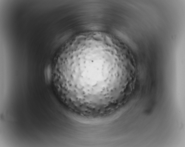 X0000092060014200709262036