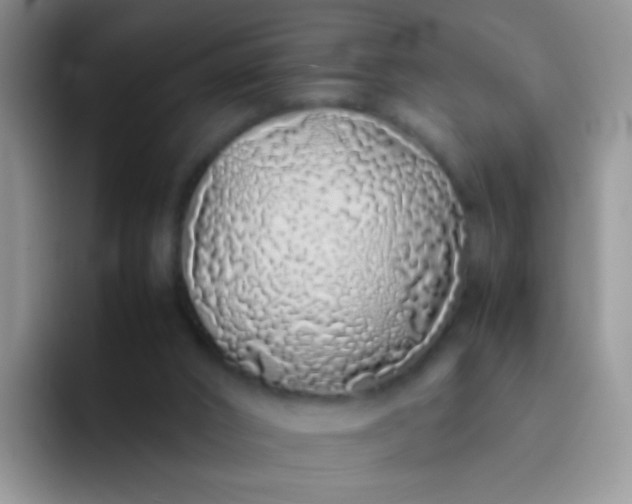 X0000092060016200709262036