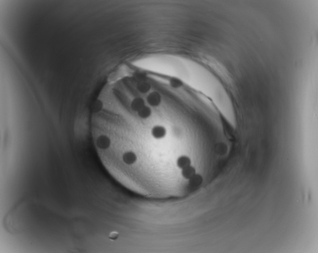 X0000092060017200709262036