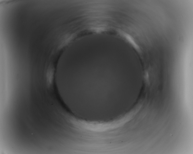 X0000092060018200709262036