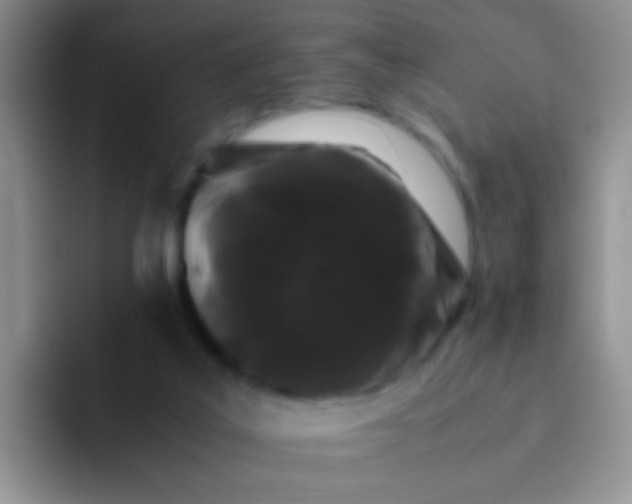 X0000092060019200709262036