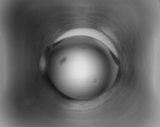 X0000092060021200709262036