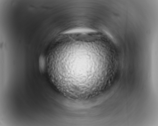 X0000092060022200709262036