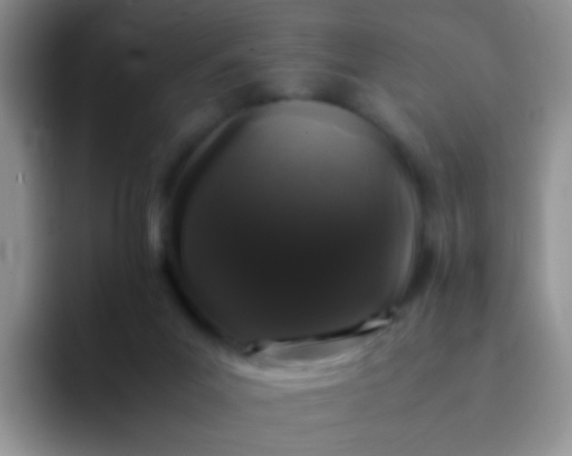 X0000092060023200709262036