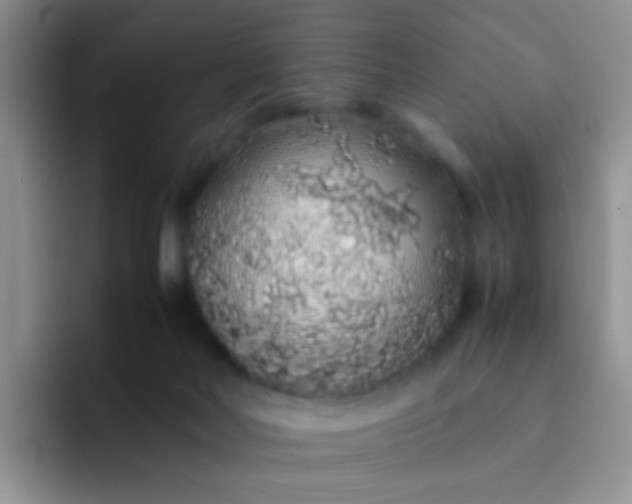 X0000092060026200709262036