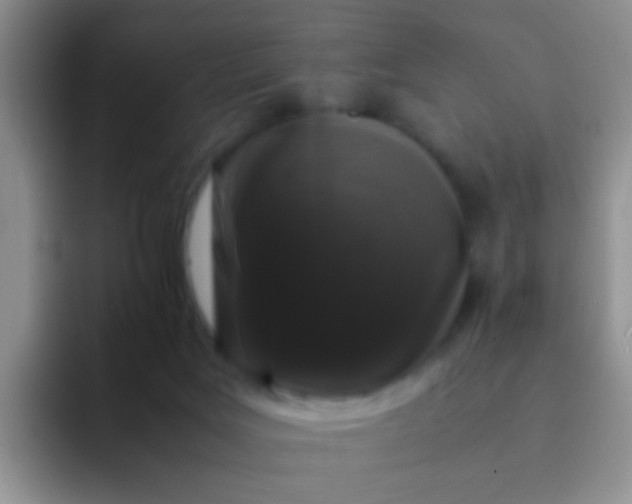 X0000092060027200709262036