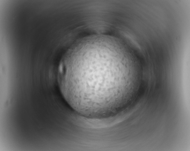 X0000092060030200709262036