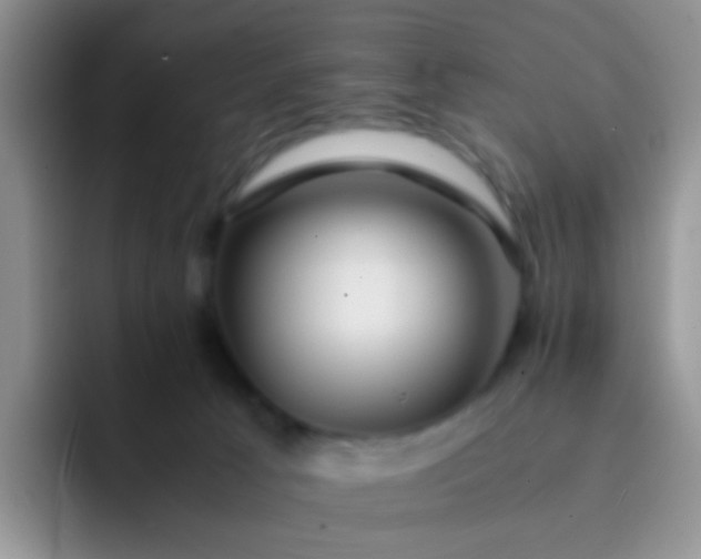 X0000092060033200709262036