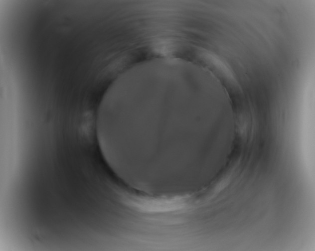 X0000092060036200709262036