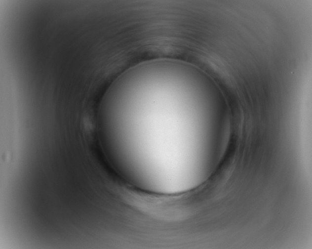 X0000092060040200709262036