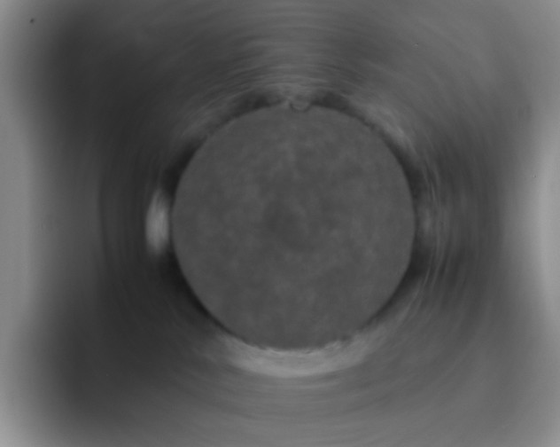 X0000092060042200709262036