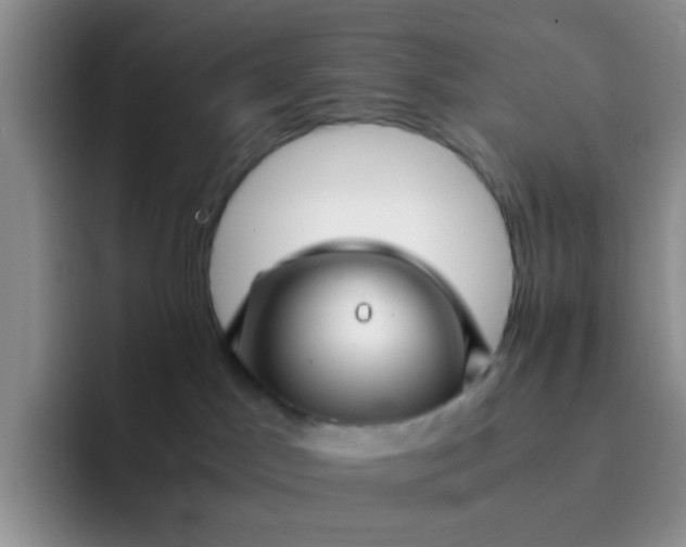 X0000092060045200709262036