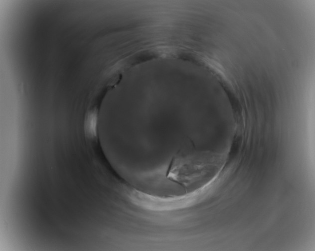 X0000092060047200709262036