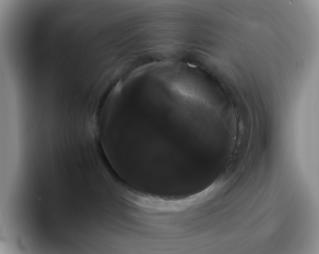 X0000092060048200709262036