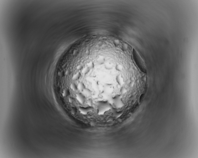 X0000092060049200709262035