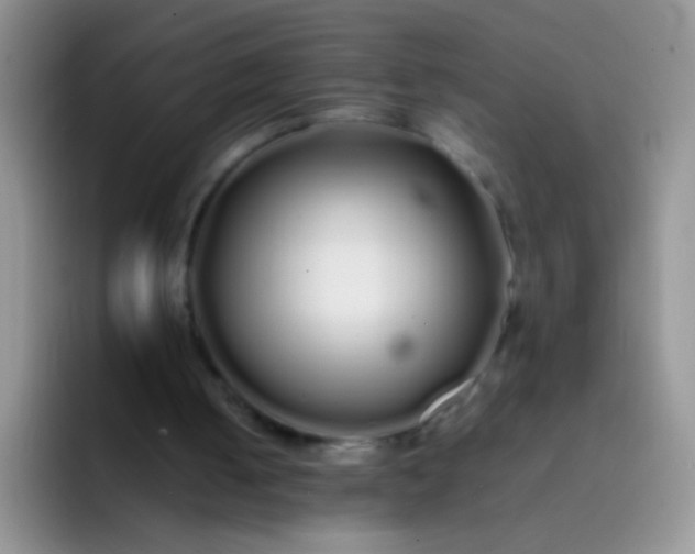 X0000092060050200709262035