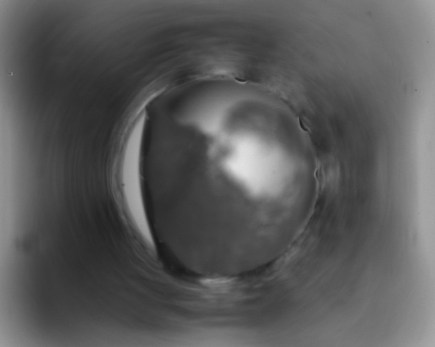 X0000092060051200709262035