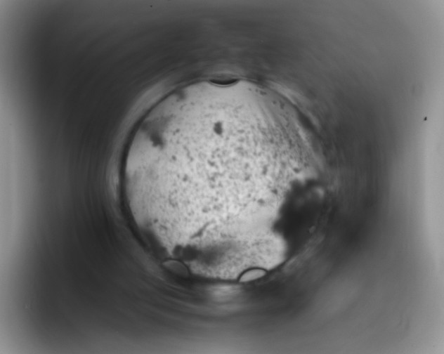 X0000092060053200709262035