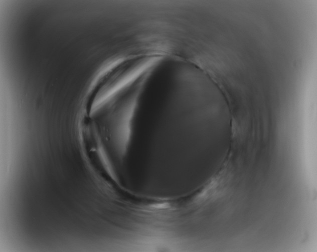 X0000092060054200709262035