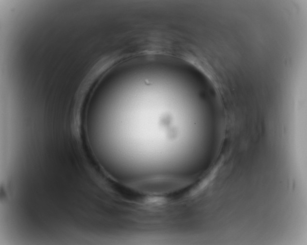 X0000092060055200709262035