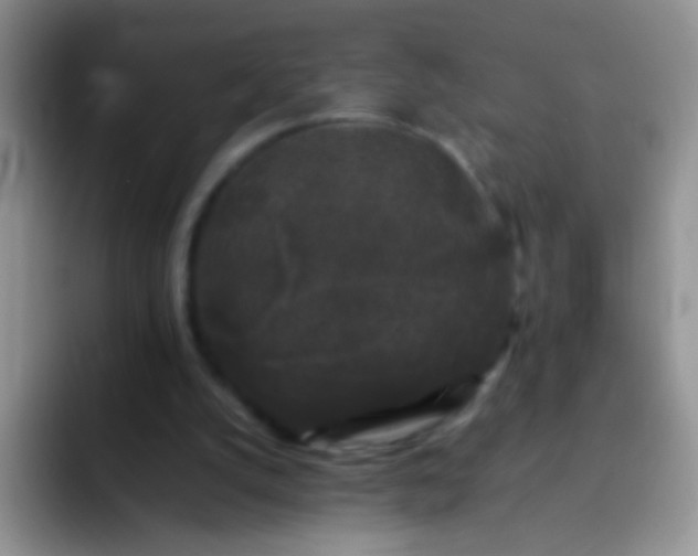 X0000092060056200709262035