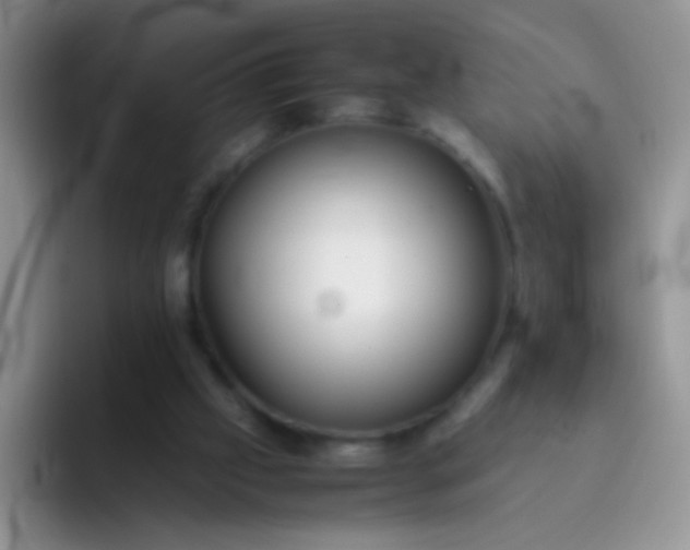 X0000092060057200709262035